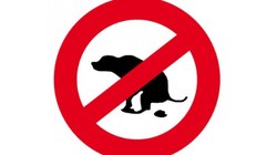Stop aux déjections canines sous les semelles !