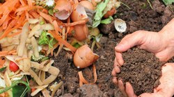 Un nouveau Clim'Actu sur les déchets organiques et le compost